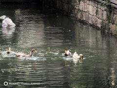-丝绸小镇荻港古村