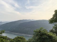 -铁山坪森林公园