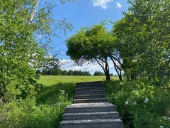 -塞罕坝国家级自然保护区