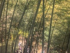 -莫干山风景区