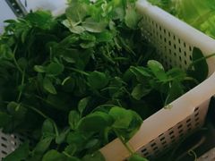 -金鼎雪山牦牛杂火锅(理县总店)