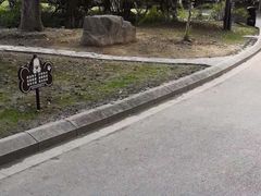 -花溪公园