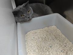 -美联众合动物医院·24h京西诊疗中心