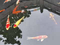 -西安市广仁寺