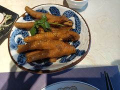 -点都德·毕德寮