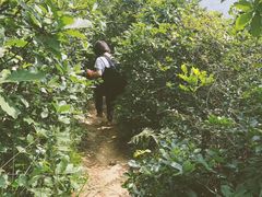 -缥缈峰景区