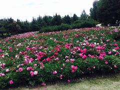 -长春公园(普阳街道)