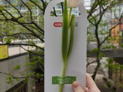 -茑屋书店(天目里店)