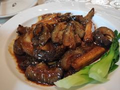 红烧海参-马凯餐厅(长椿街店)