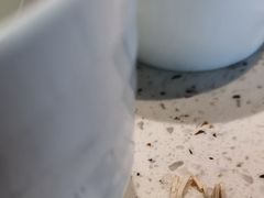 -东园小馆·早茶·淮扬小炒(江都路店)