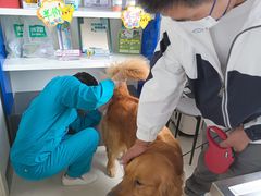 -派美特宠物医院·核磁CT·骨科肿瘤·疑难转诊(沈农禾丰店)