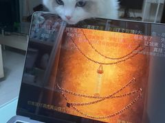 -lincat·猫舍(广州店)