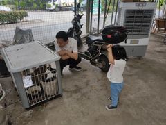 -马陆小张葡萄园农家乐