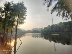 -重庆彩云湖湿地公园