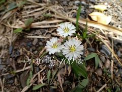 -舒家湾天主教堂