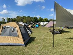 -春花秋色城市公园