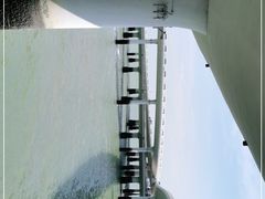 -演武大桥观景平台