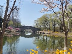 -大兴滨河森林公园