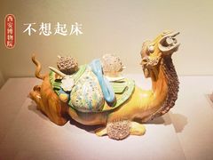 -西安博物院