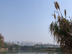 -三垟湿地