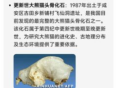 -咸宁市博物馆