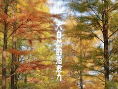 -白鹭湾湿地公园