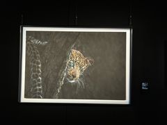 -罗红摄影艺术馆