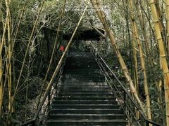 -呀诺达热带雨林