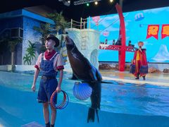 -三亚海昌梦幻海洋不夜城