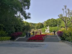 -金鸡山公园