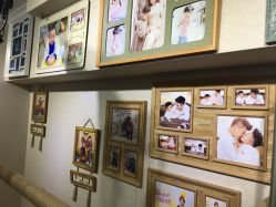 -梵梦影像馆(绿博园店)