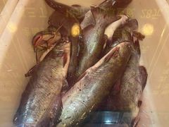 -小火炕铁锅炖鱼