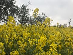 -白鹭湾湿地公园