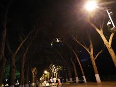 -人民防洪胜利纪念塔