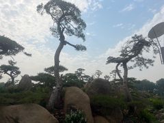 -罗红摄影艺术馆