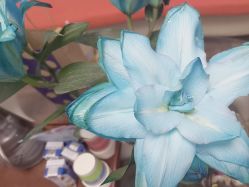 -美画·轻奢美甲美睫