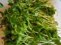 豆苗-和庆斋阳坊秘制羊蝎子火锅(云岗店)