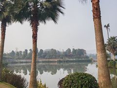 -枫香湖儿童公园