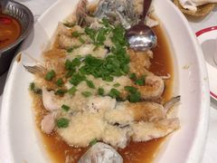青椒蒸长江鮰鱼-好福记饭店(红梅公园店)