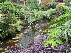 -聚福宝合苑食府(南头镇店)