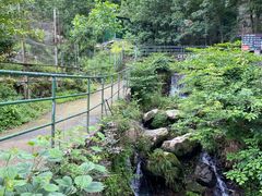 -藏龙百瀑风景区