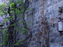 -老门东历史文化街区