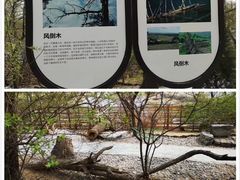 -南海子公园