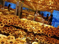 -天津梵高星空艺术馆(天河城旗舰店)