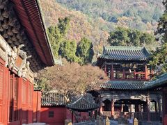 -报恩寺(平武县)