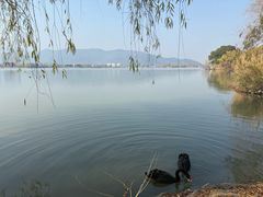 -长兴太湖图影湿地文化园