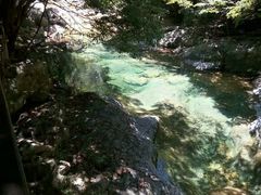 -祁门牯牛降观音堂风景区