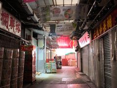 -油麻地果栏