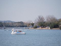 -贡湖湾湿地公园