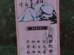 -敬亭山风景名胜区